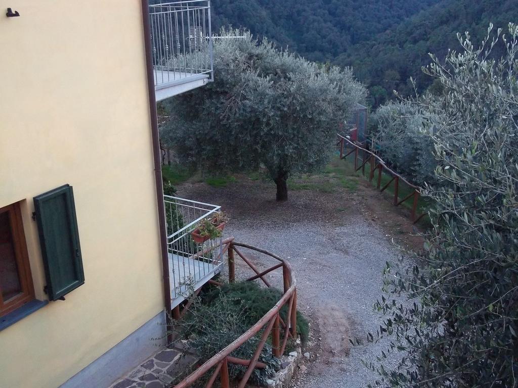 Apartamento Caddelovi Fibbialla Habitación foto